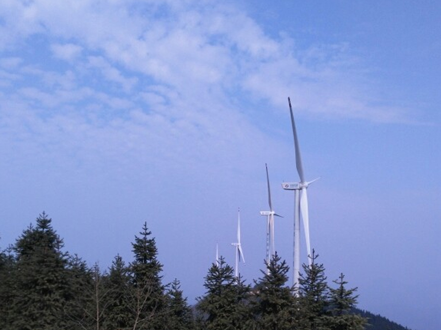 凤凰山风电场项目生态修复工程3.jpg